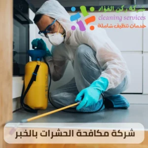 شركة مكافحة حشرات بالخبر