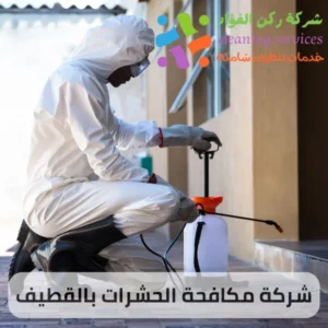 افضل شركات مكافحة حشرات بالقطيف