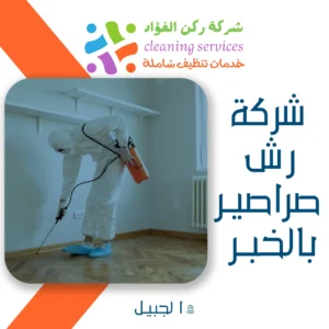 شركة رش صراصير بالخبر