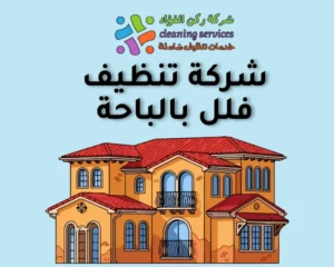 شركة تنظيف فلل بالباحة