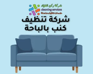 شركة تنظيف كنب بالباحة