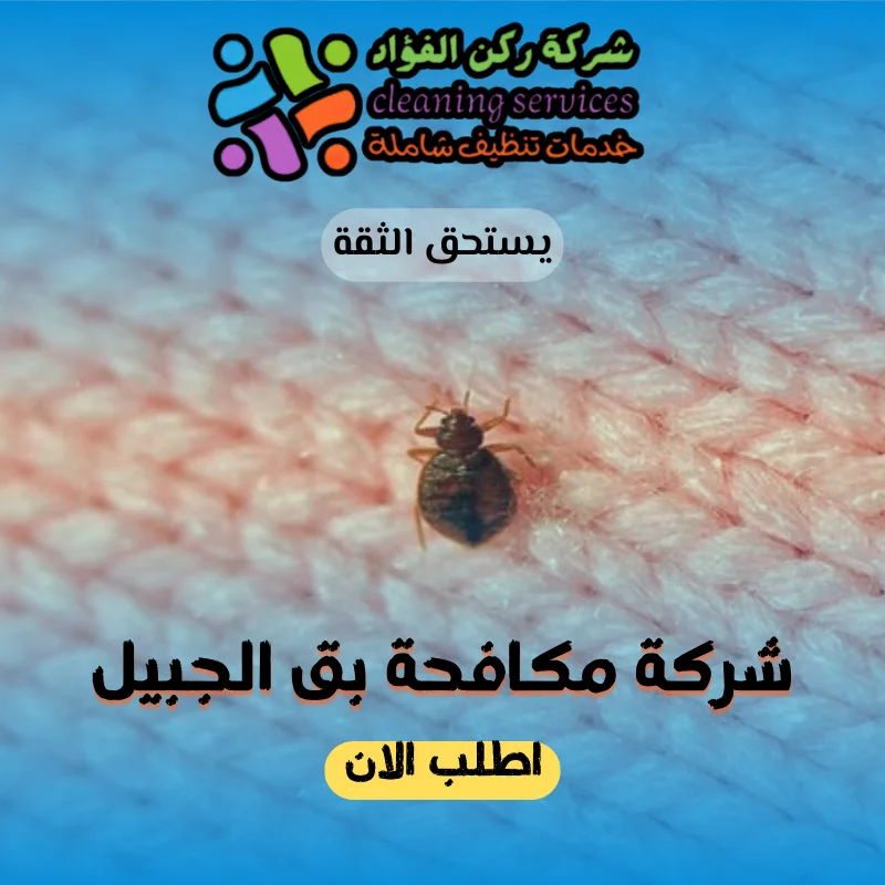 شركة مكافحة بق الجبيل