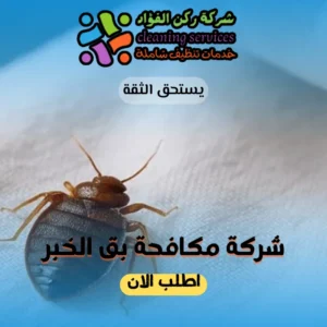 شركة مكافحة بق الخبر