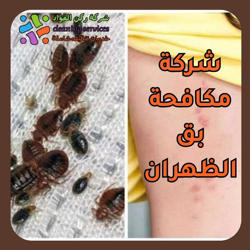 شركة مكافحة بق الظهران