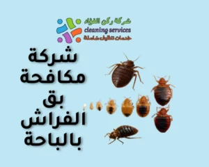 شركة مكافحة بق الفراش بالباحة