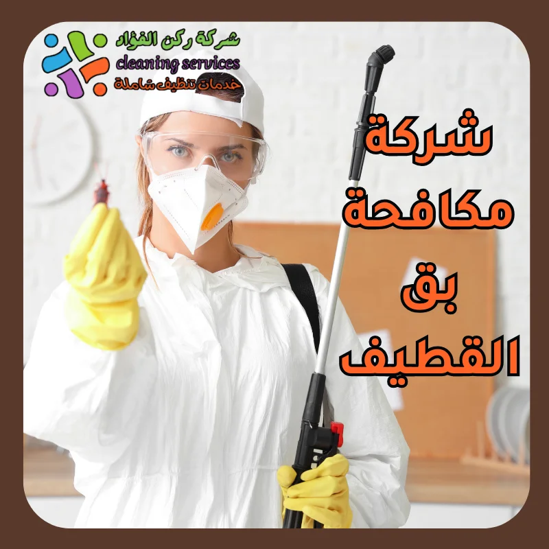 شركة مكافحة بق القطيف