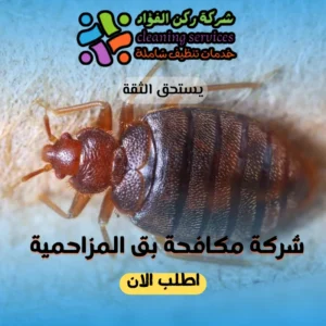 شركة مكافحة بق المزاحمية