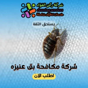 شركة مكافحة بق عنيزه