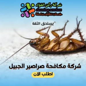 شركة مكافحة صراصير الجبيل