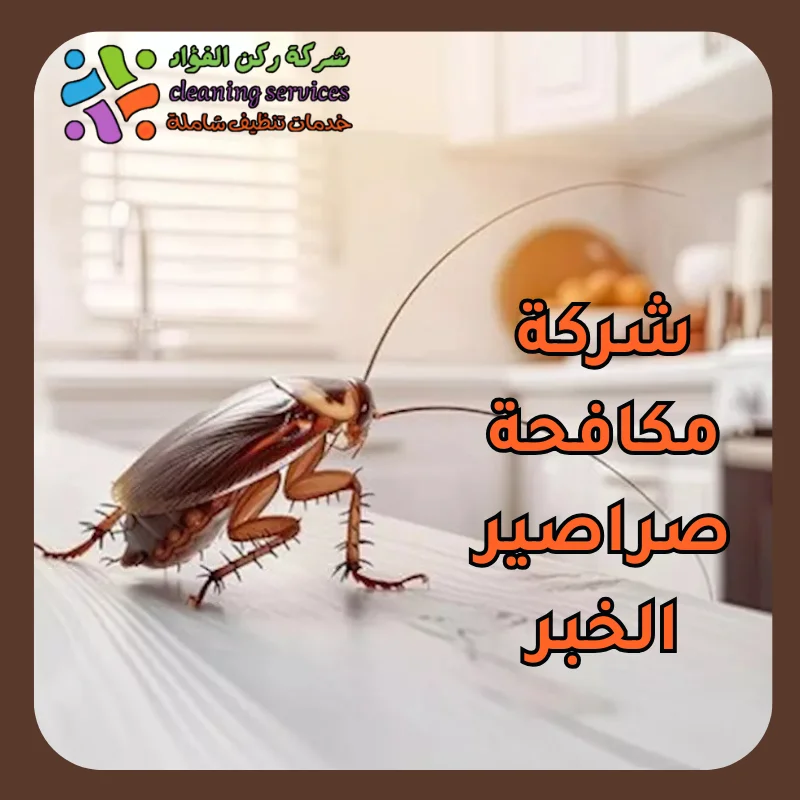 شركة مكافحة صراصير الخبر