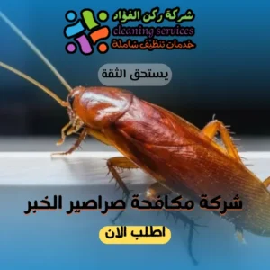 شركة مكافحة صراصير الخبر