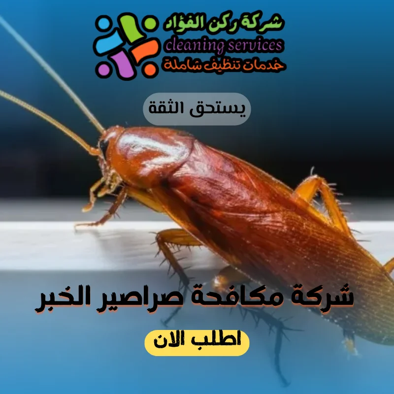 شركة مكافحة صراصير الخبر