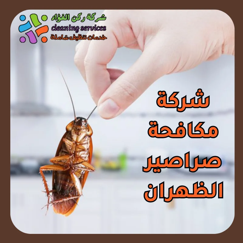 شركة مكافحة صراصير الظهران