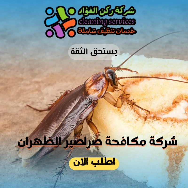 شركة مكافحة صراصير الظهران