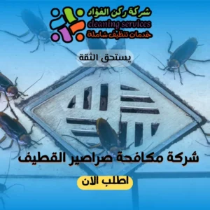 شركة مكافحة صراصير القطيف