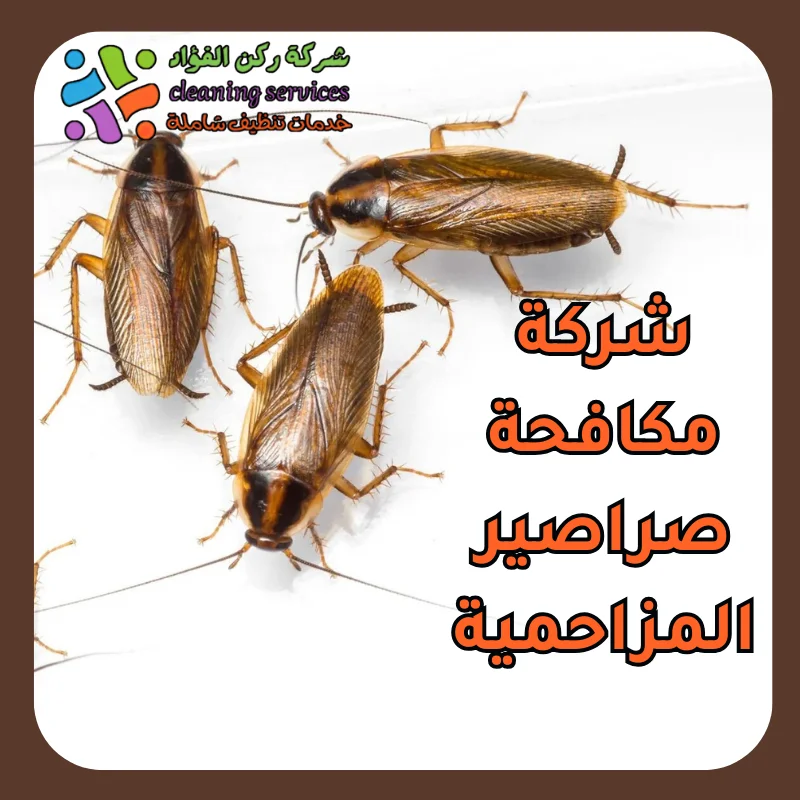 شركة مكافحة صراصير المزاحمية