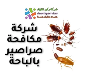 شركة مكافحة صراصير بالباحة
