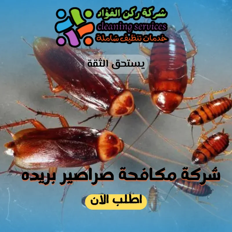 شركة مكافحة صراصير بريده