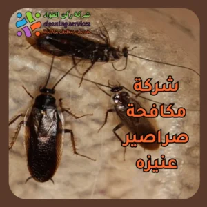 شركة مكافحة صراصير عنيزه