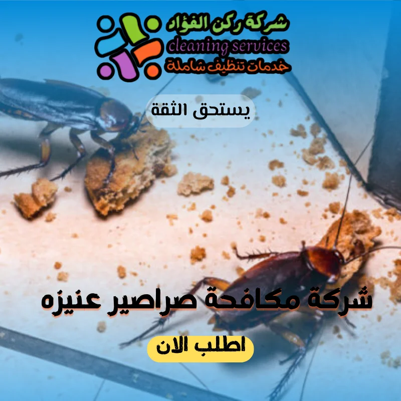 شركة مكافحة صراصير عنيزه