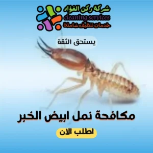 شركة مكافحة نمل ابيض الخبر
