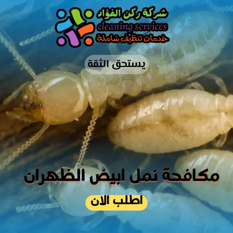 شركة مكافحة نمل ابيض الظهران