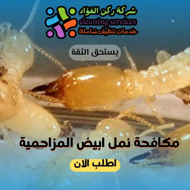 شركة مكافحة نمل ابيض المزاحمية