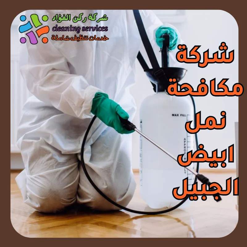 شركة مكافحة نمل ابيض الجبيل