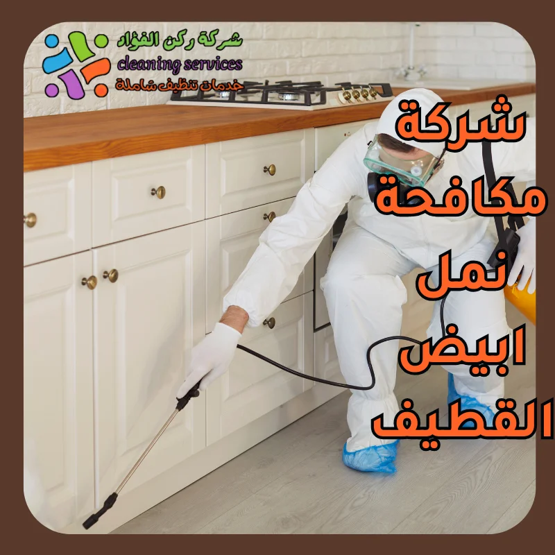 شركة مكافحة نمل ابيض القطيف