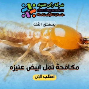 شركة مكافحة نمل ابيض عنيزه